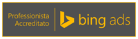 Professionista Accreditato Bing Ads a Salerno